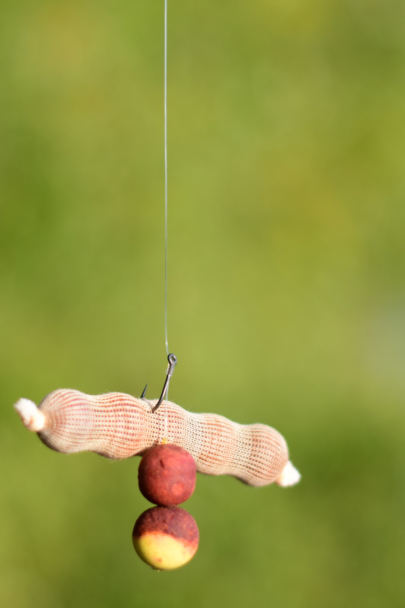 Tancabesti 13 octombrie 2022 - DSC8025.jpg